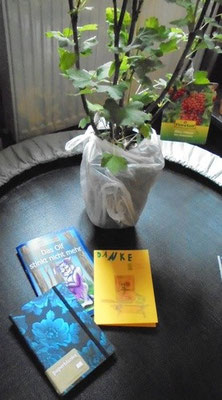 Wahnsinn Geschenke