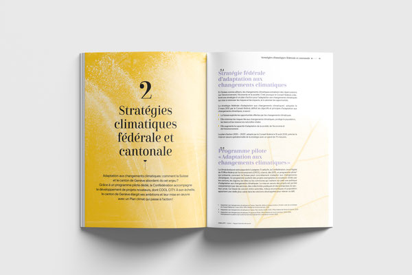Direction de la durabilité et du climat (DDC) – Canton de Genève | Cool City - Cahier 1 | Collaboration avec Latitude Durable