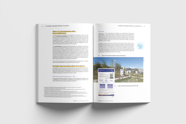 Direction de la durabilité et du climat (DDC) – Canton de Genève | Cool City - Cahier 1 | Collaboration avec Latitude Durable