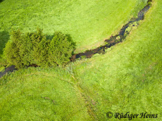 Schmale Aue, 18.7.2023 - DJI Mini 3 Pro 24mm/f/1,7