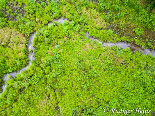 Ein Bacharm, 3.8.2023 - DJI Mini 3 Pro 24mm/f/1,7