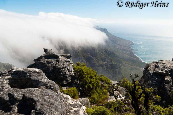 Wolken über dem Tafelberg, 15.1.2019
