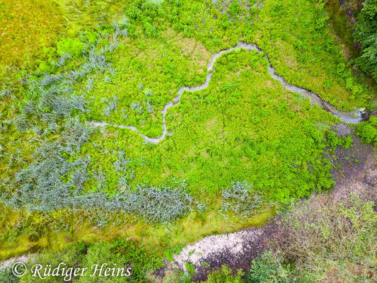 Biotop aus Vogelperspektive, 27.7.2023 - DJI Mini 3 Pro 24mm/f/1,7