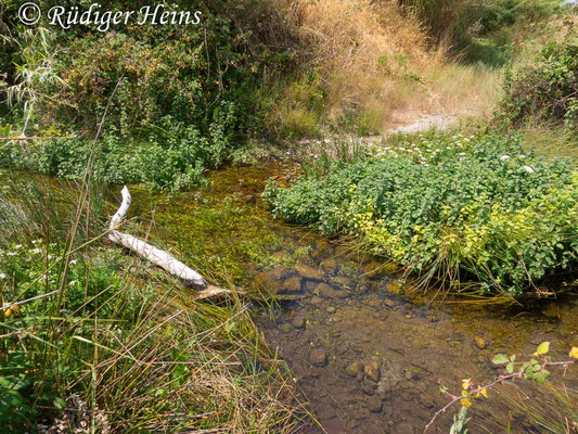 Canal de Vergières, 21.6.2017