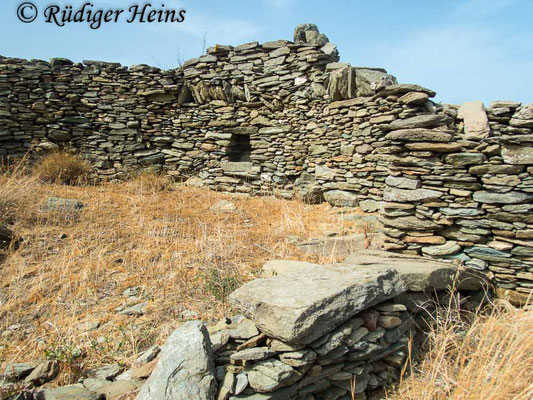 Podarcis erhardii (Kykladen-Mauereidechse) Habitat, 16.5.2024