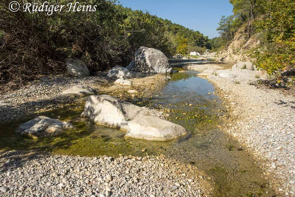 Orthetrum chrysostigma (Rahmstreif-Blaupfeil) Habitat auf Rhodos