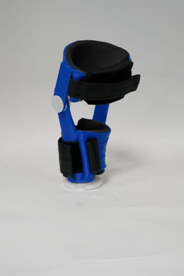 DILECTUS_Hund mit 3D-Knieorthese