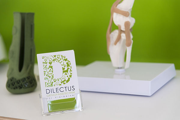 DILECTUS Logo