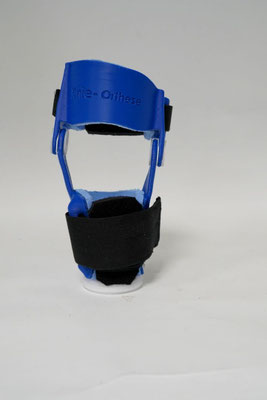 DILECTUS_Hund mit 3D-Knieorthese