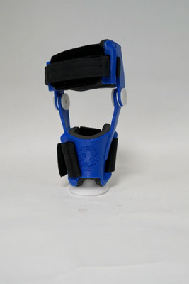DILECTUS_Hund mit 3D-Knieorthese