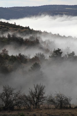 Causse Noir