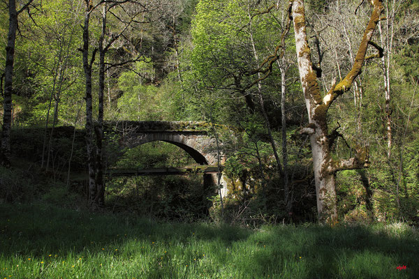 Pont sur le Bétuzon vers le château de Roquedols