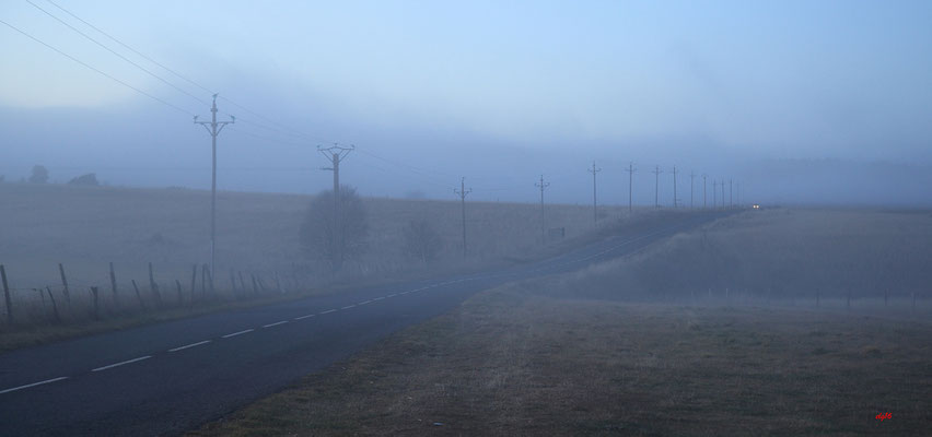 Sur le Méjean, hiver