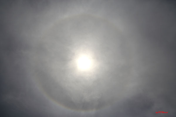 halo