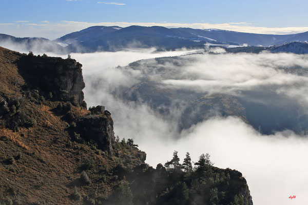 Vu du Méjean vers l'Aigoual