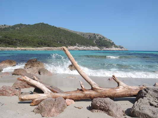 cala Molto (au Nord-Est de l'île)