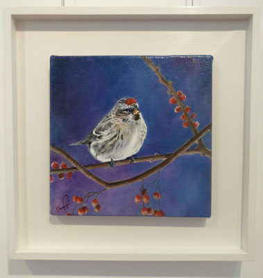 Redpoll y Berries - dimensions 20 x 20 cm