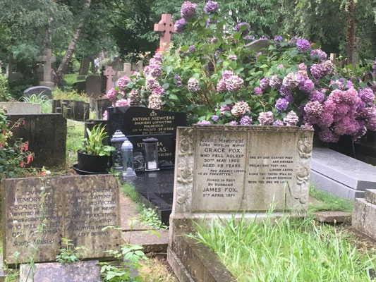 Highgate Cemetery in London, 7. August 2019 / Foto: Gothamella