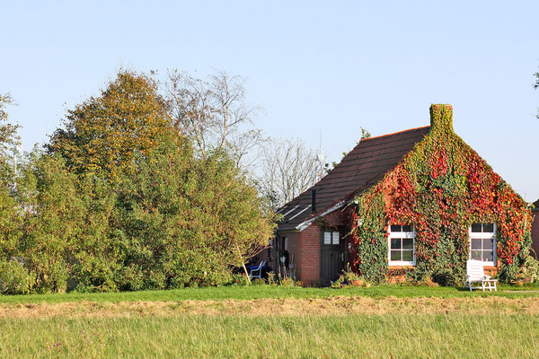 Charlottenpolder