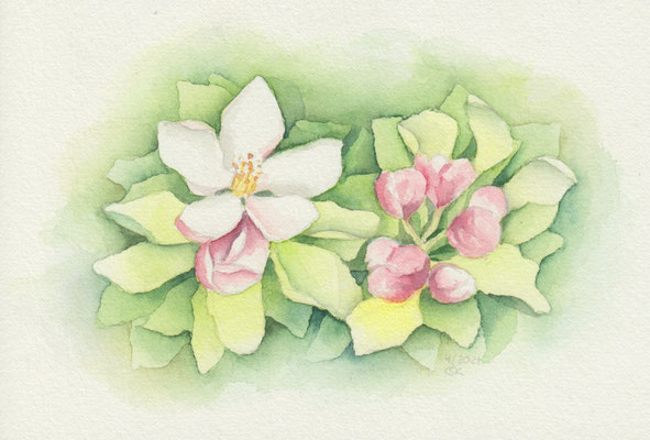 Aquarellbild "Wildrose": zarte Wildrose mit Knospen und einer offenen Blüte, rings herum Blätter gemalt in Negativtechnik