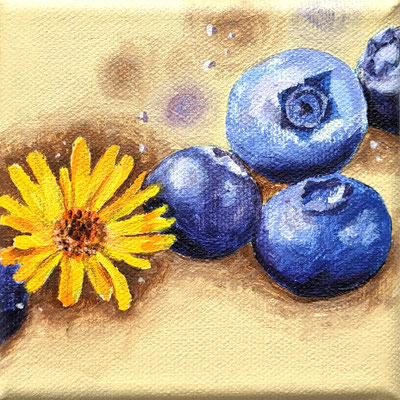 Blaubeere und Calendula (Leinwand, 10x10cm)