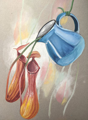 Kannenpflanze mit Kanne (Graupappe, 20x30cm)