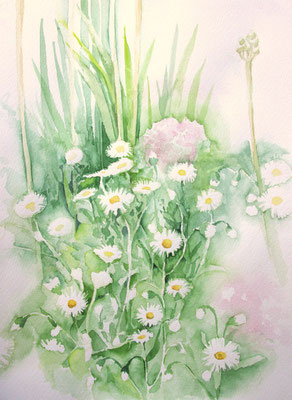 Botanischer Blick (Aquarellpapier, 24x32cm)
