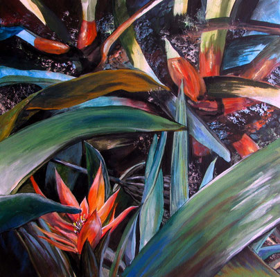 Florales Feuerwerk (Leinwand, 50x50cm)