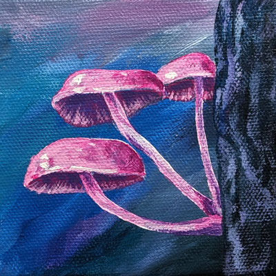 Pinker Baumpilz (Leinwand, 10x10cm)