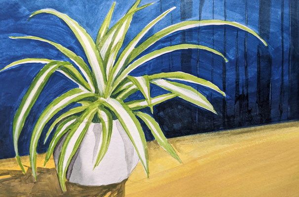 Grünlilie vor blauer Tapete (Aquarellskizzenbuch)