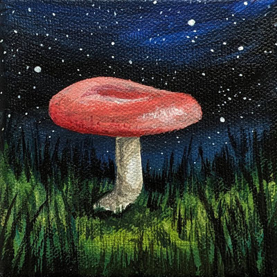 Nachtpilz (Leinwand, 10x10cm)