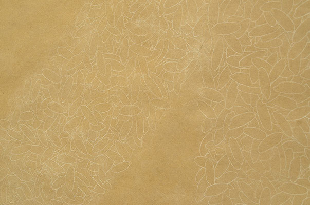 米の国(big)_250.0×450.0cm_クラフトペーパー　パステル_2010_detail