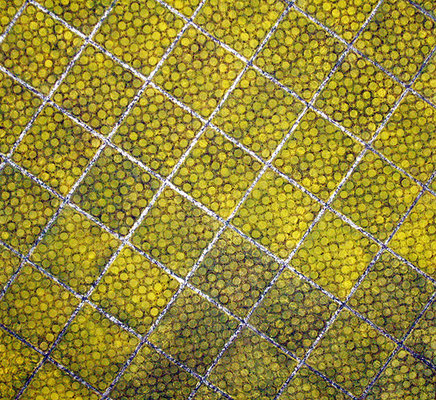 Stop_162.0×162.0cm_麻紙　水干絵具　岩絵具　アルミ箔_2010
