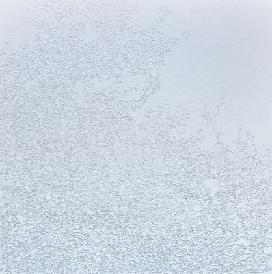 White Noise 山本雄教 Yamamoto Yukyo White Noise 山本雄教 Yamamoto Yukyo