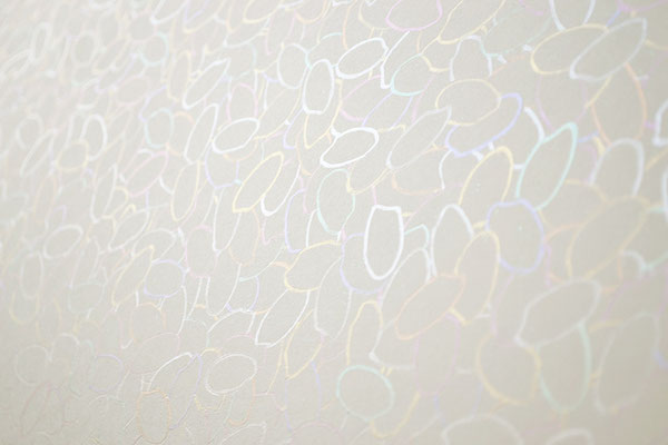 Rainbow rice_60.6×72.7cm_鳥の子紙、パール顔料_2012_detail