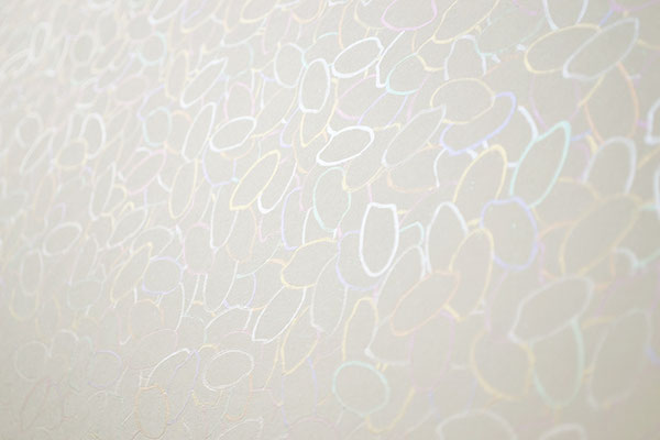 Rainbow rice_60.6×72.7cm_鳥の子紙、パール顔料_2012_detail