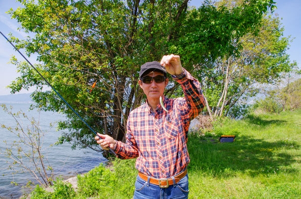 南湖の岸辺に生える丸葉柳の横で、藤本名人がホンモロコを釣り上げた！（令和５年５月初旬撮影）