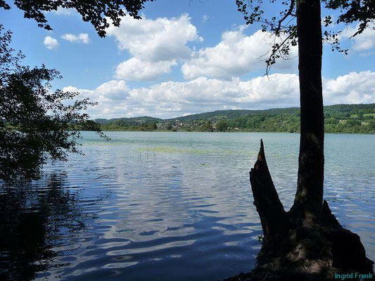 11.08.2013-Mindelsee auf dem Bodanrück