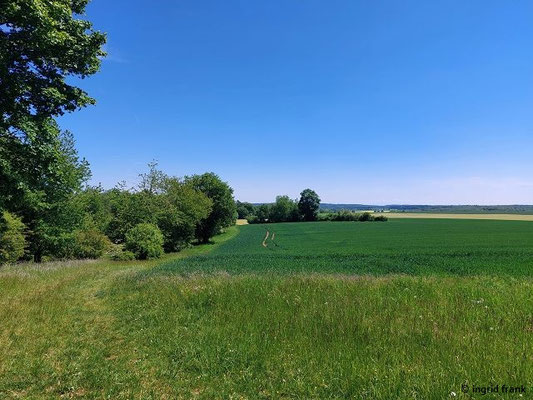 Blick zum NSG Heiden zwischen Lonsee und Amstetten