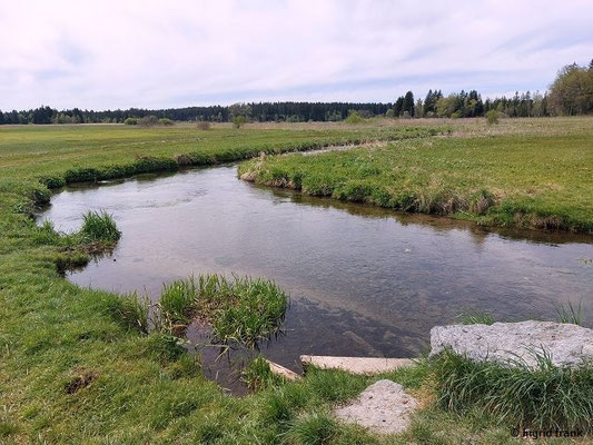 Isnyer Ach