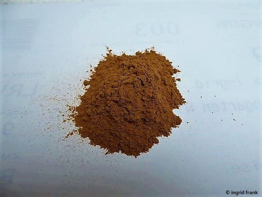Cinnamomum verum / Echter Zimt, Ceylon-Zimt