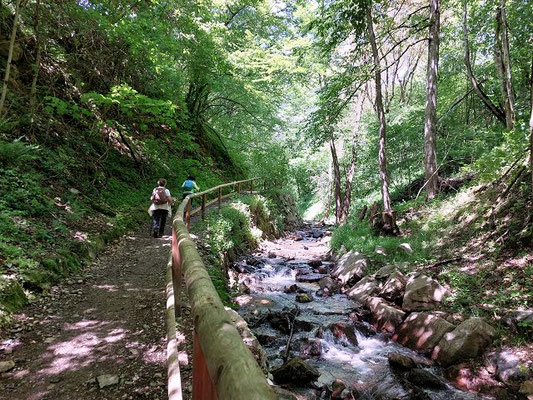 Auf dem Rundweg um den Lago di Levico