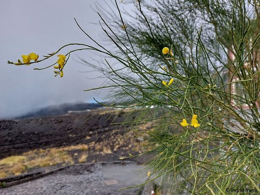 28.09.2025; Sizilien, Ätna