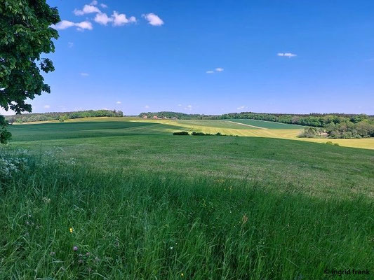 Blick vom Wachbühl nach Osten