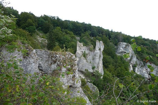 Blick aufdie Ruine "Gebrochen Gutenstein"