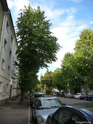 17.09.2017 - Schillerstraße in Heidelberg
