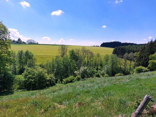 Tobel zwischen Starkenhofen und Zingerlesmühle