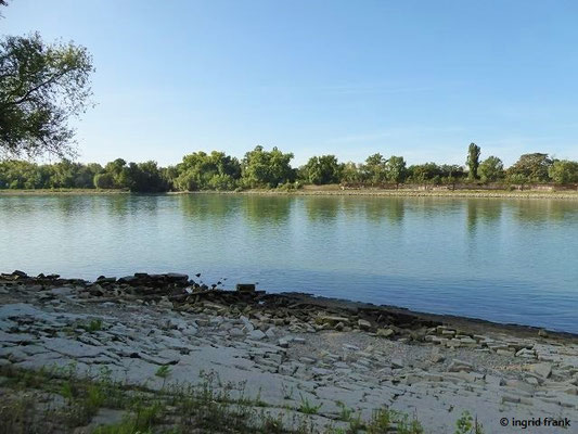 Strandbad Neckarau, Blick über den Rhein