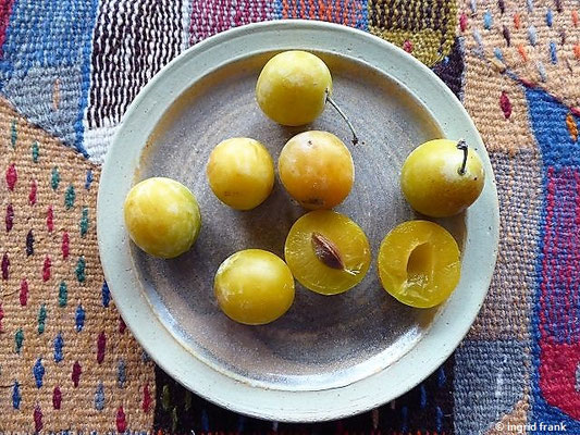 Prunus domestica ssp. syriaca - Mirabelle