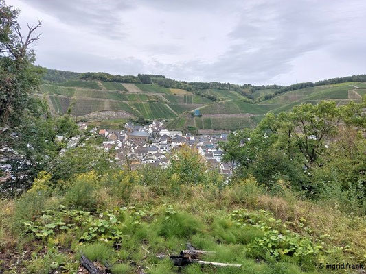 Blick auf Dernau